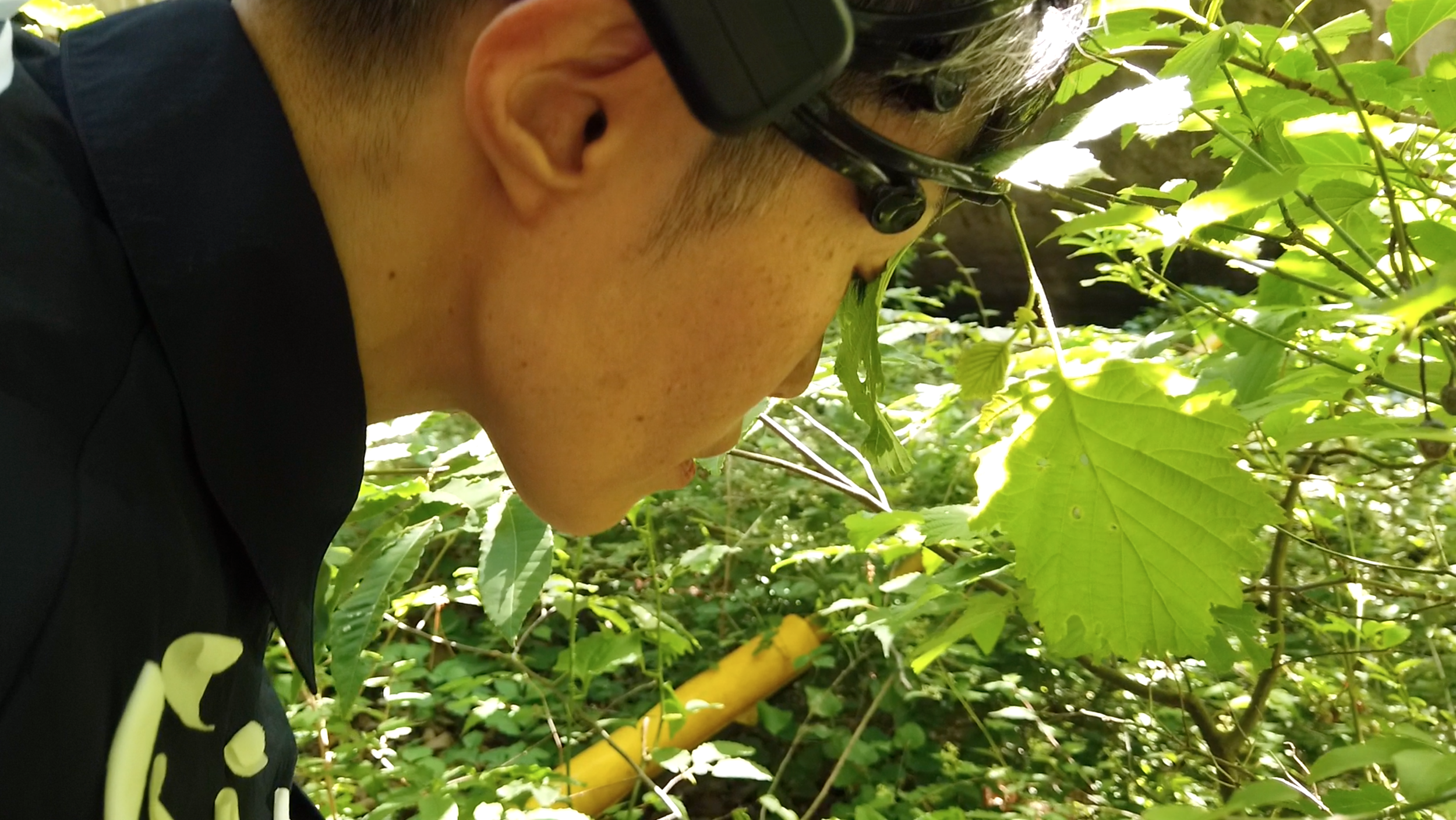 Screen Shot 2019-06-07 at 1.46.29 AM.png