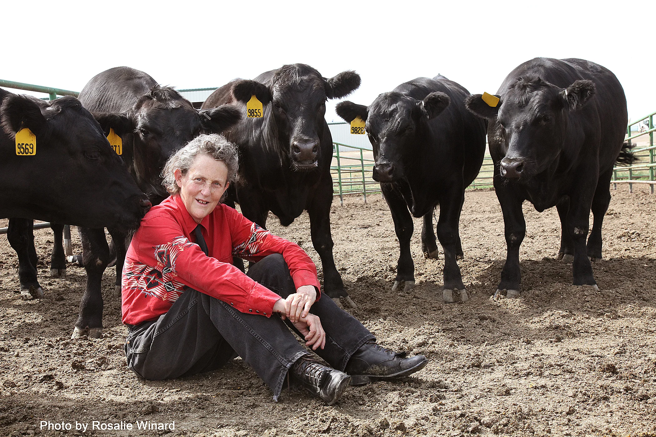 Temple Grandin Coming to Sacramento on April 3rd
