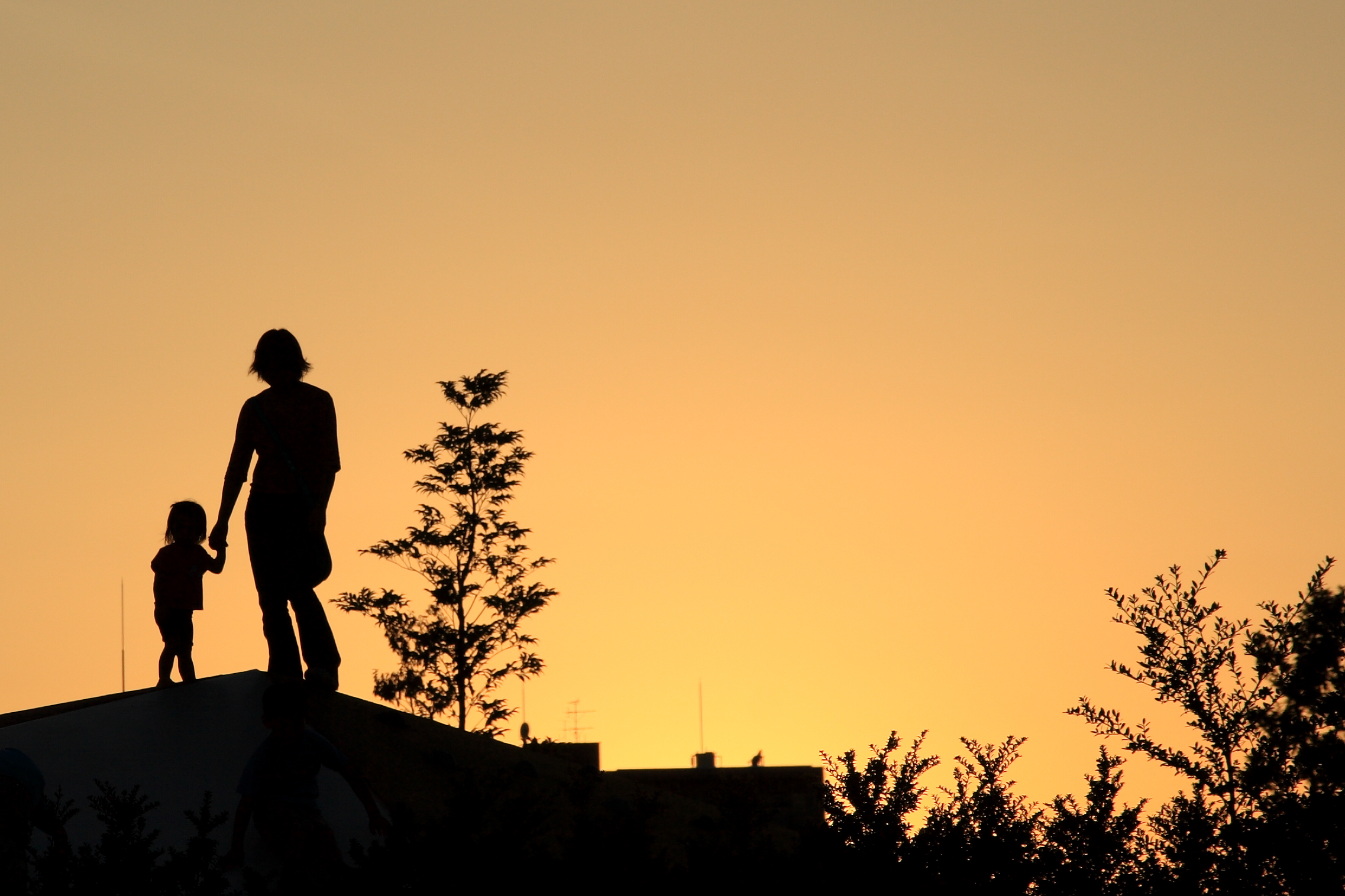 Initial Steps for Alta California Regional Center Clients to Apply for the Self-Determination Program