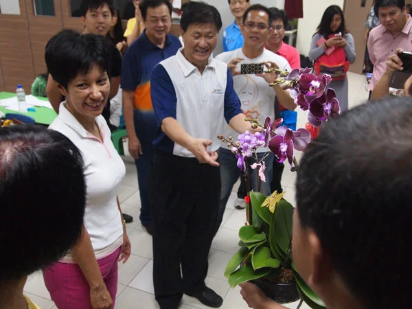 p2.jpg