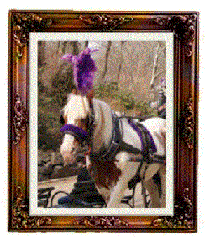 portrait5.gif
