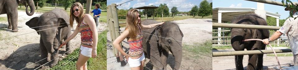 Ringling Brothers Center for Elephant Conservation