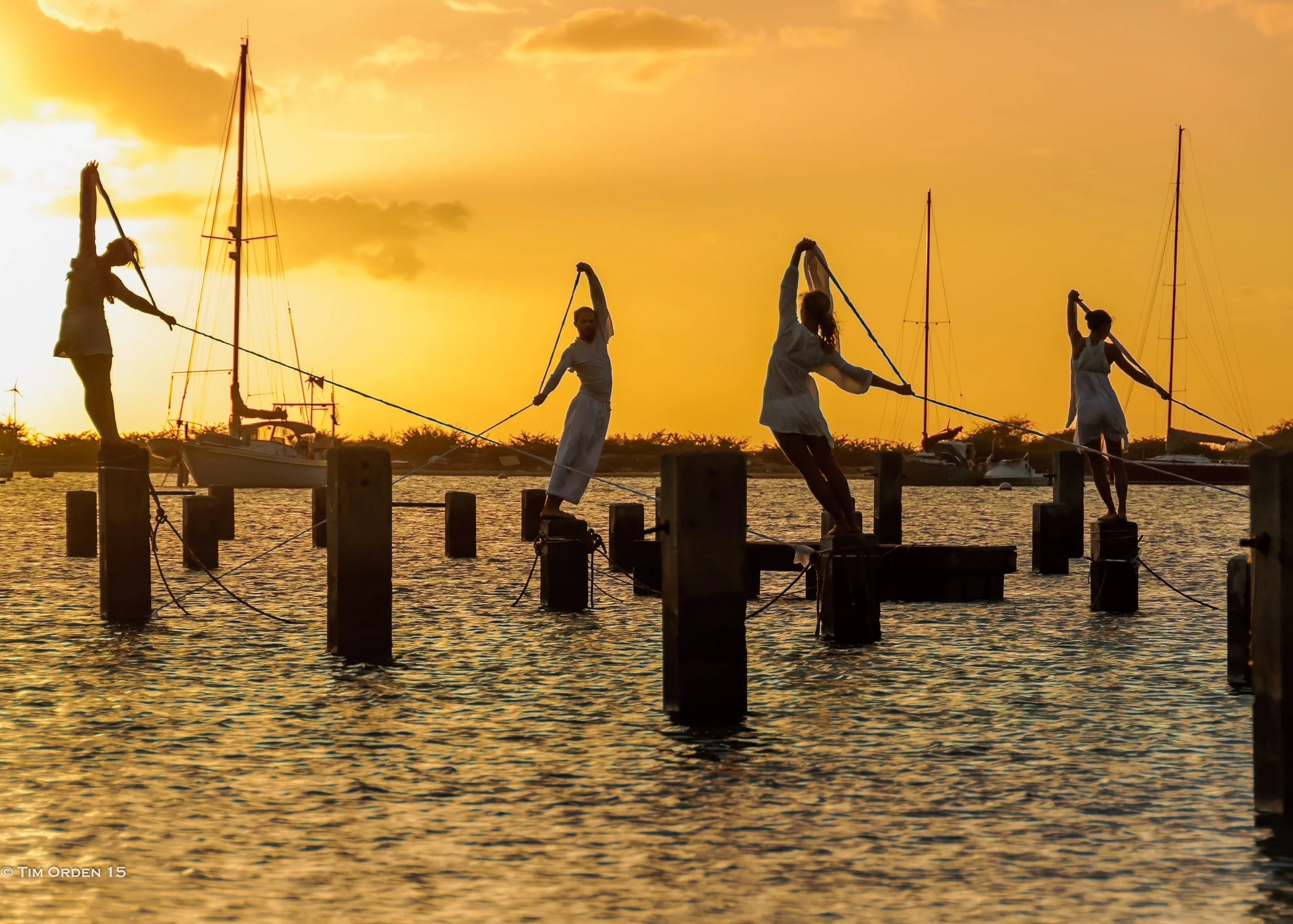 photo by Tim Orden.jpeg