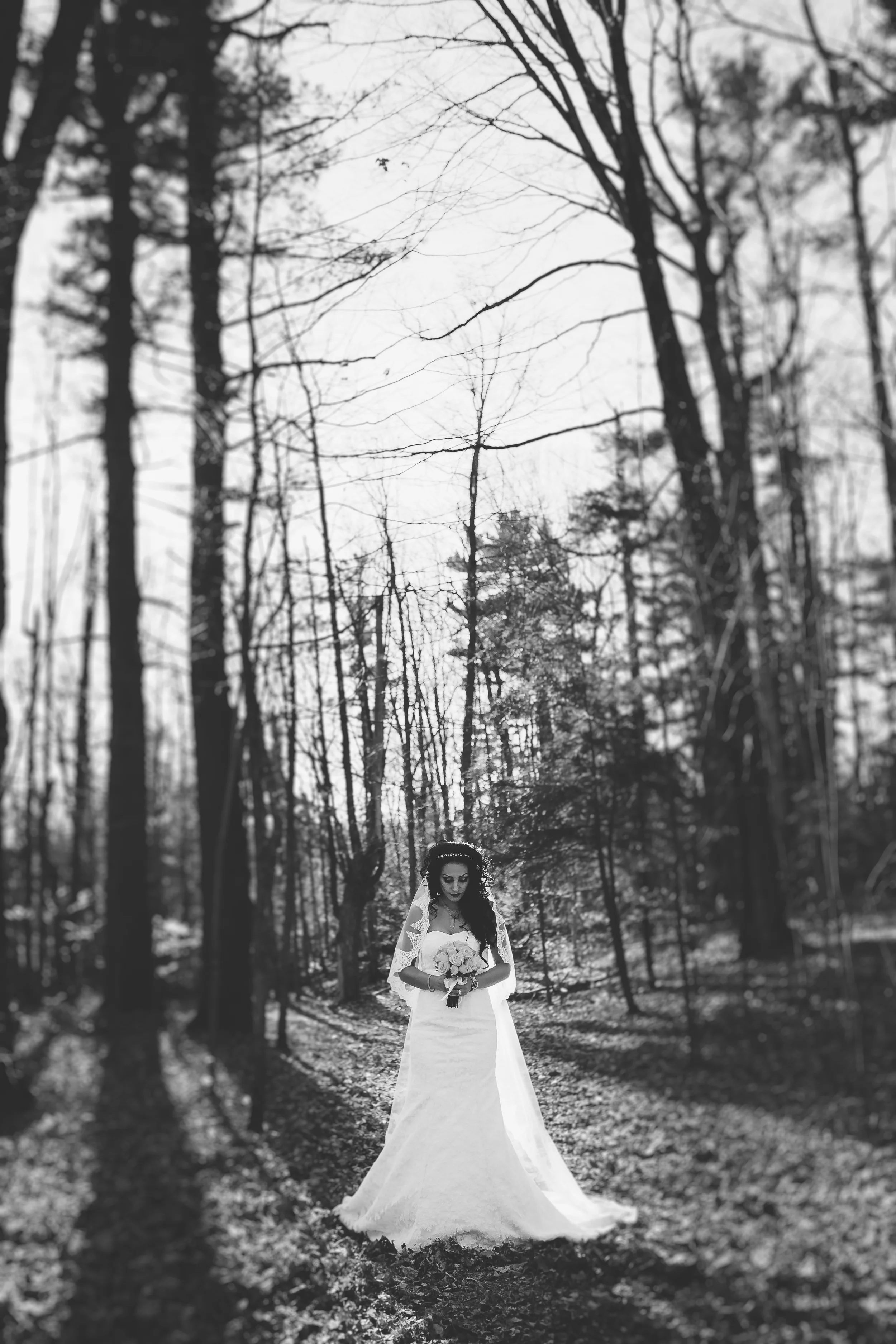374A4046-Edit-2.jpg