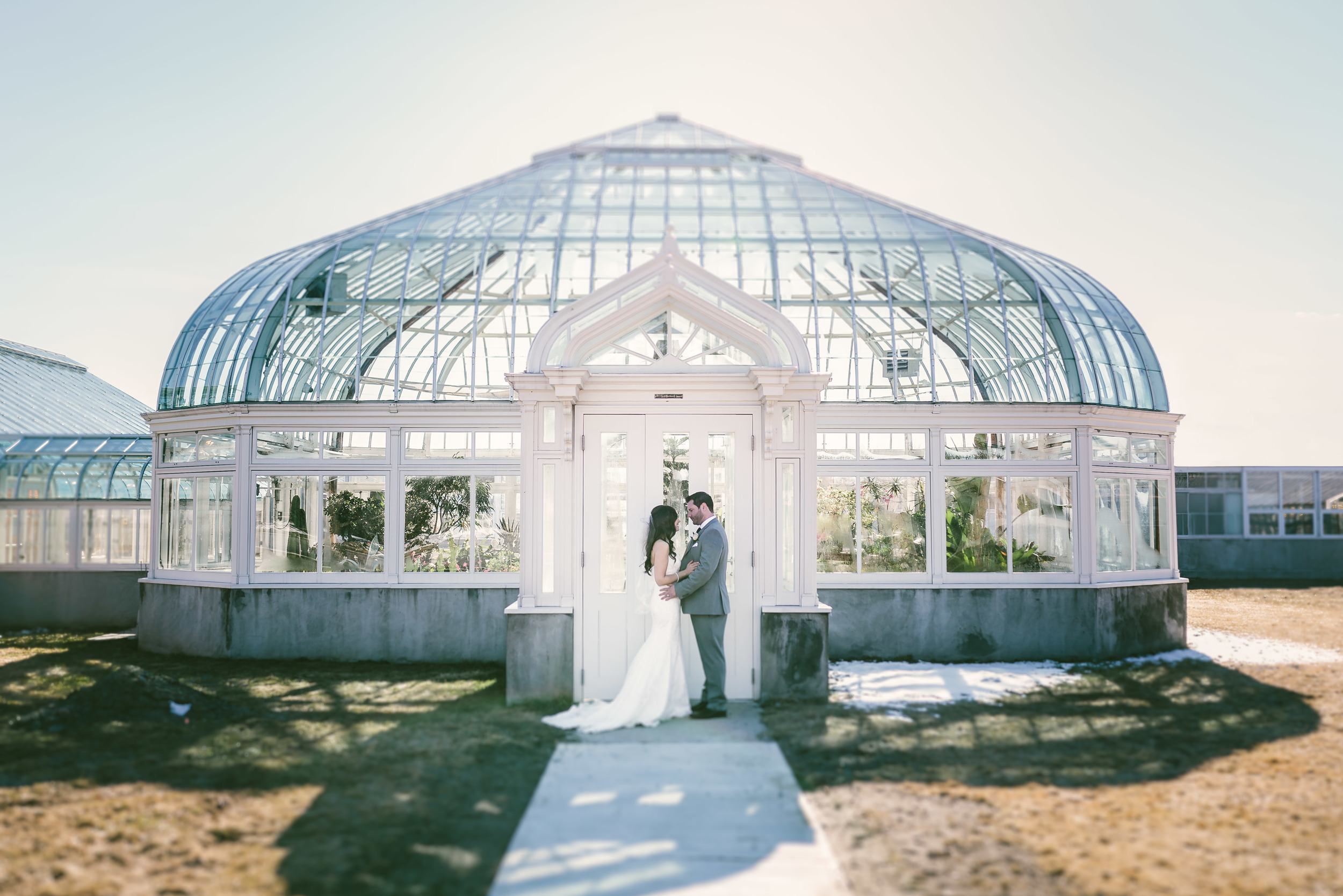 374A1148-Edit-Edit.jpg