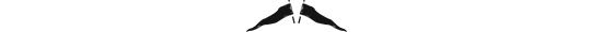 PaulSanderson_icons-7 copy copy.png