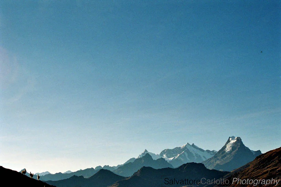 img0020 2.jpg