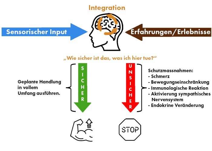 Functional Training Neurozentriertes Athletics —