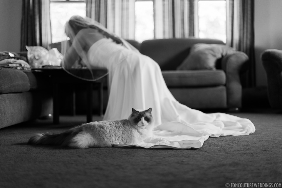 Here's a cat photobombing me while Danielle was writing her vows...