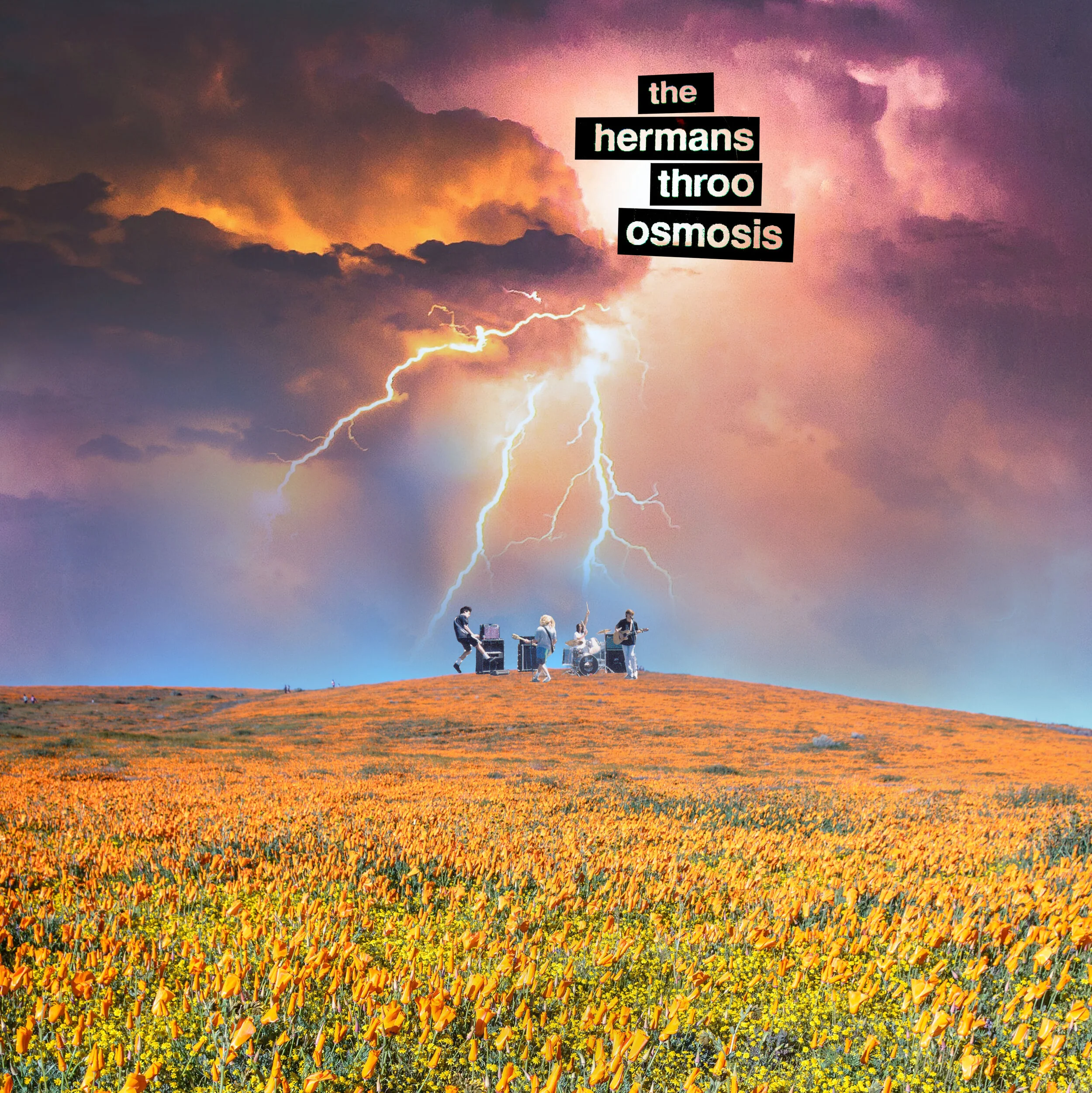 The Power of Osmosis.jpg