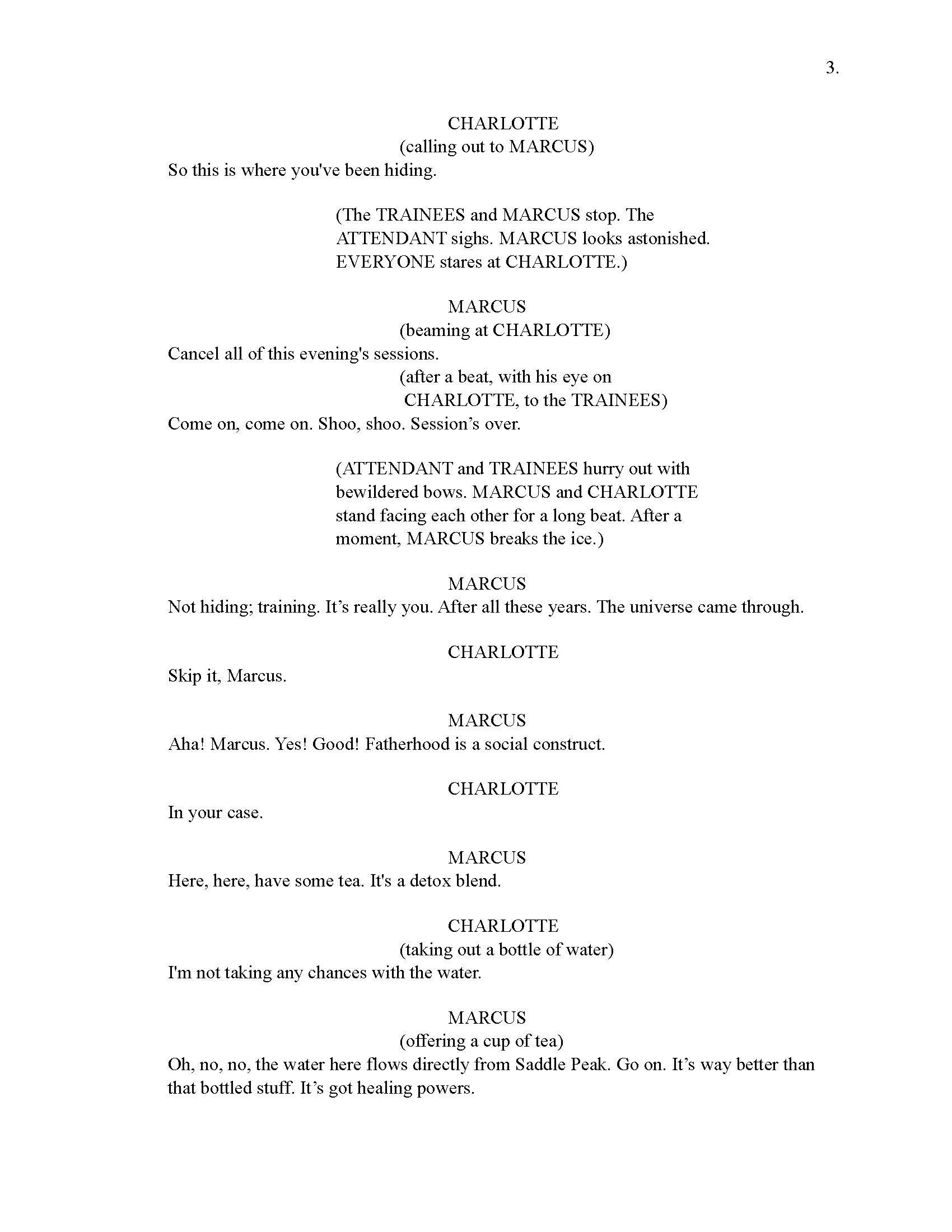SUMMERHAVEN CURRENT WORKING DRAFT 16_Page_008.jpg