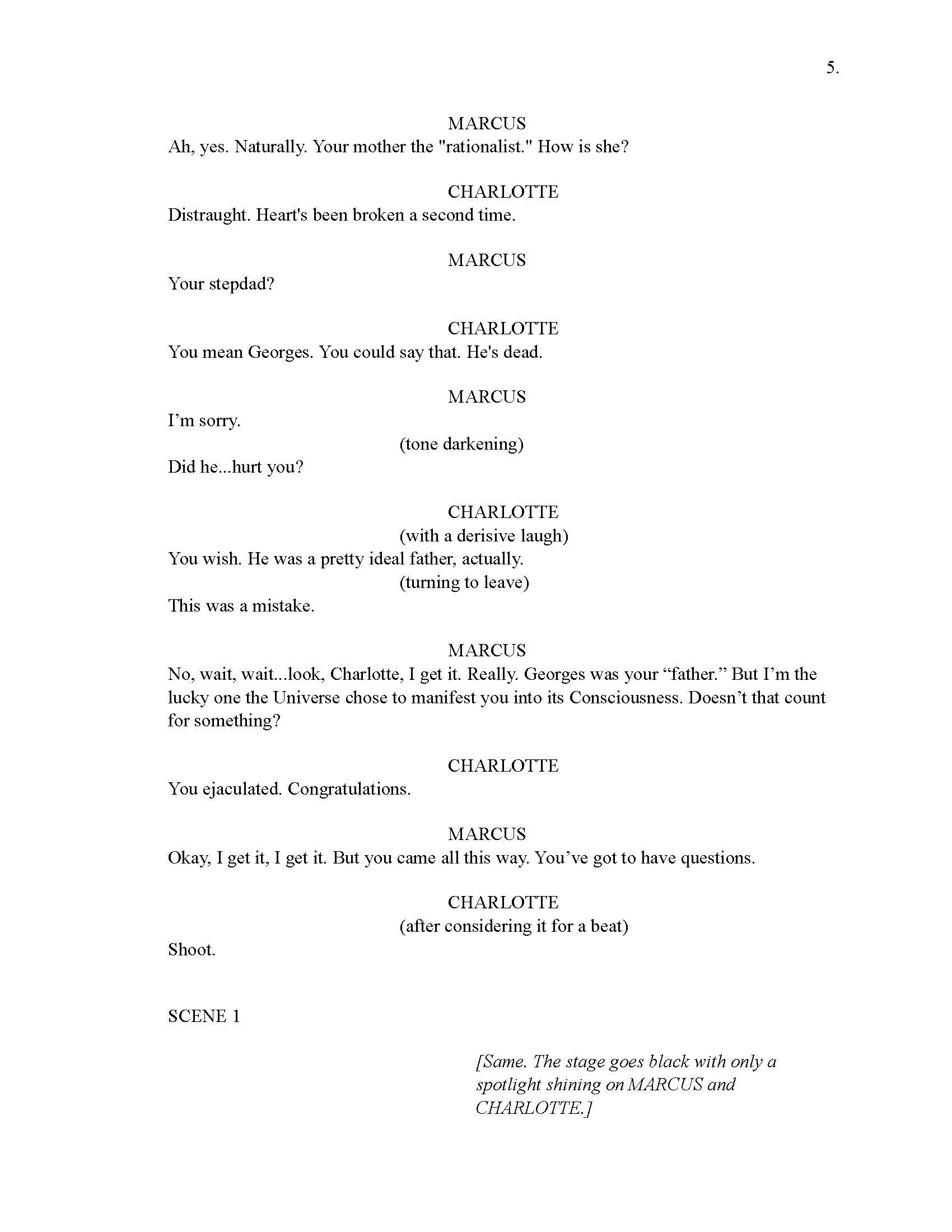 SUMMERHAVEN CURRENT WORKING DRAFT 16_Page_010.jpg
