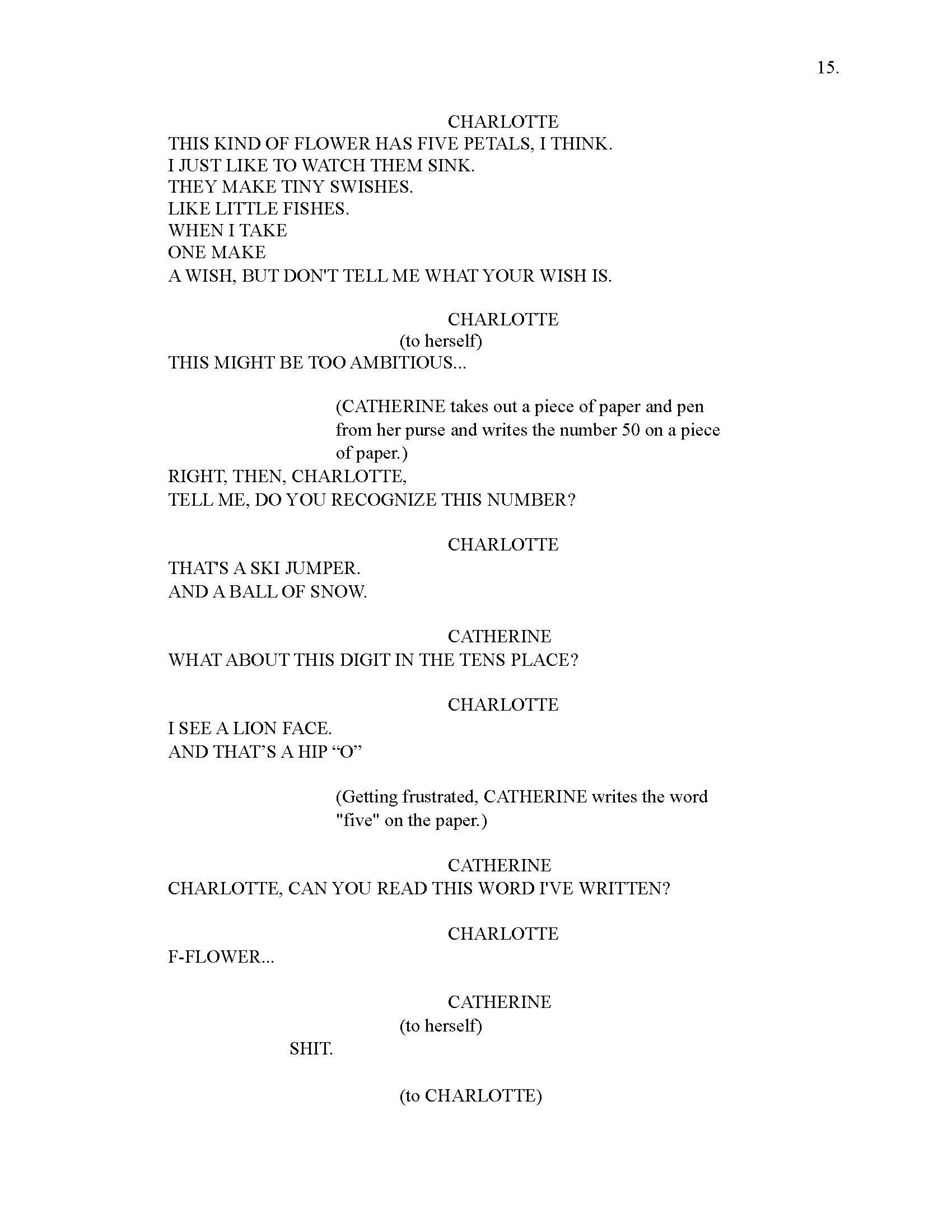SUMMERHAVEN CURRENT WORKING DRAFT 16_Page_020.jpg