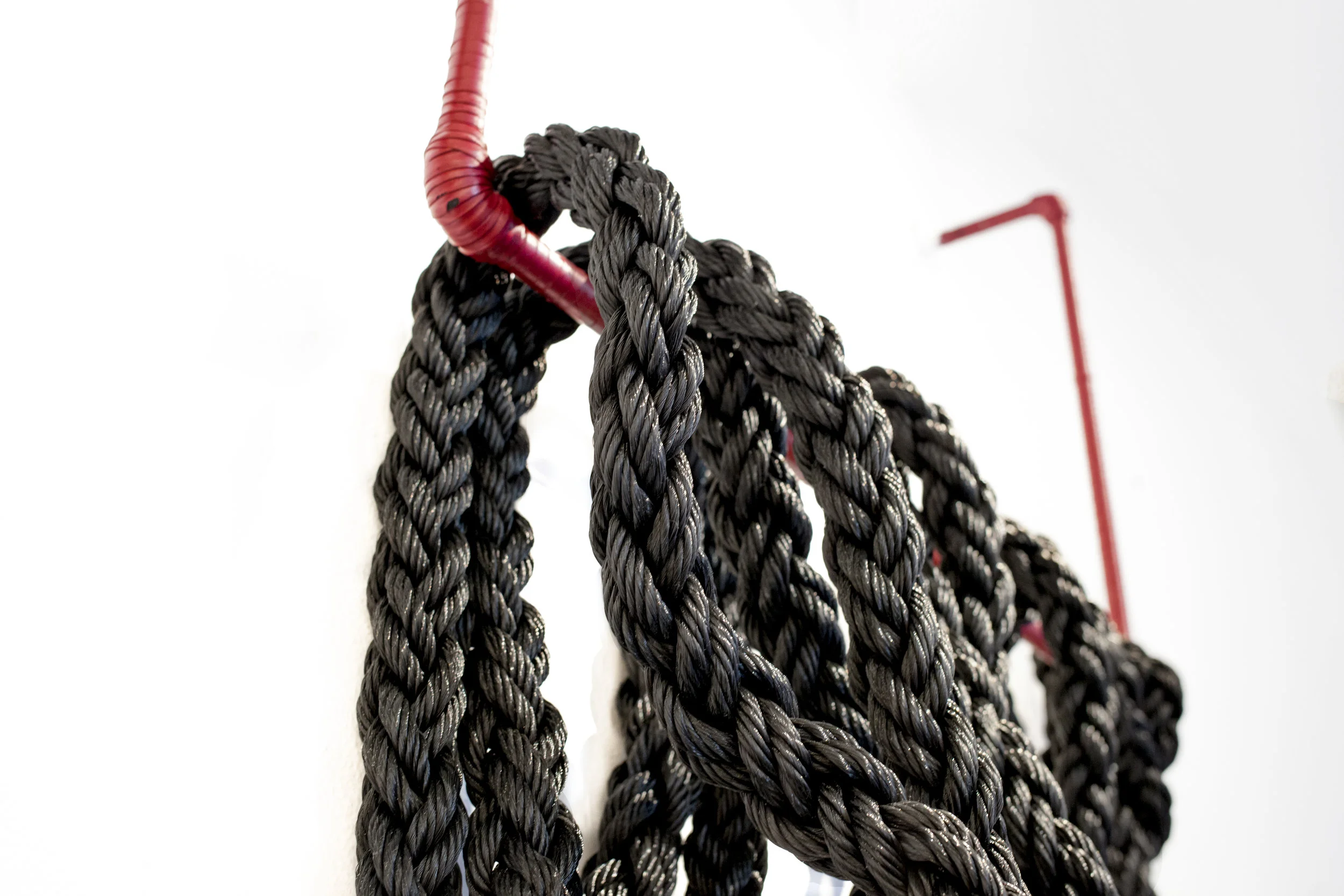 Braid and Pin (detail)