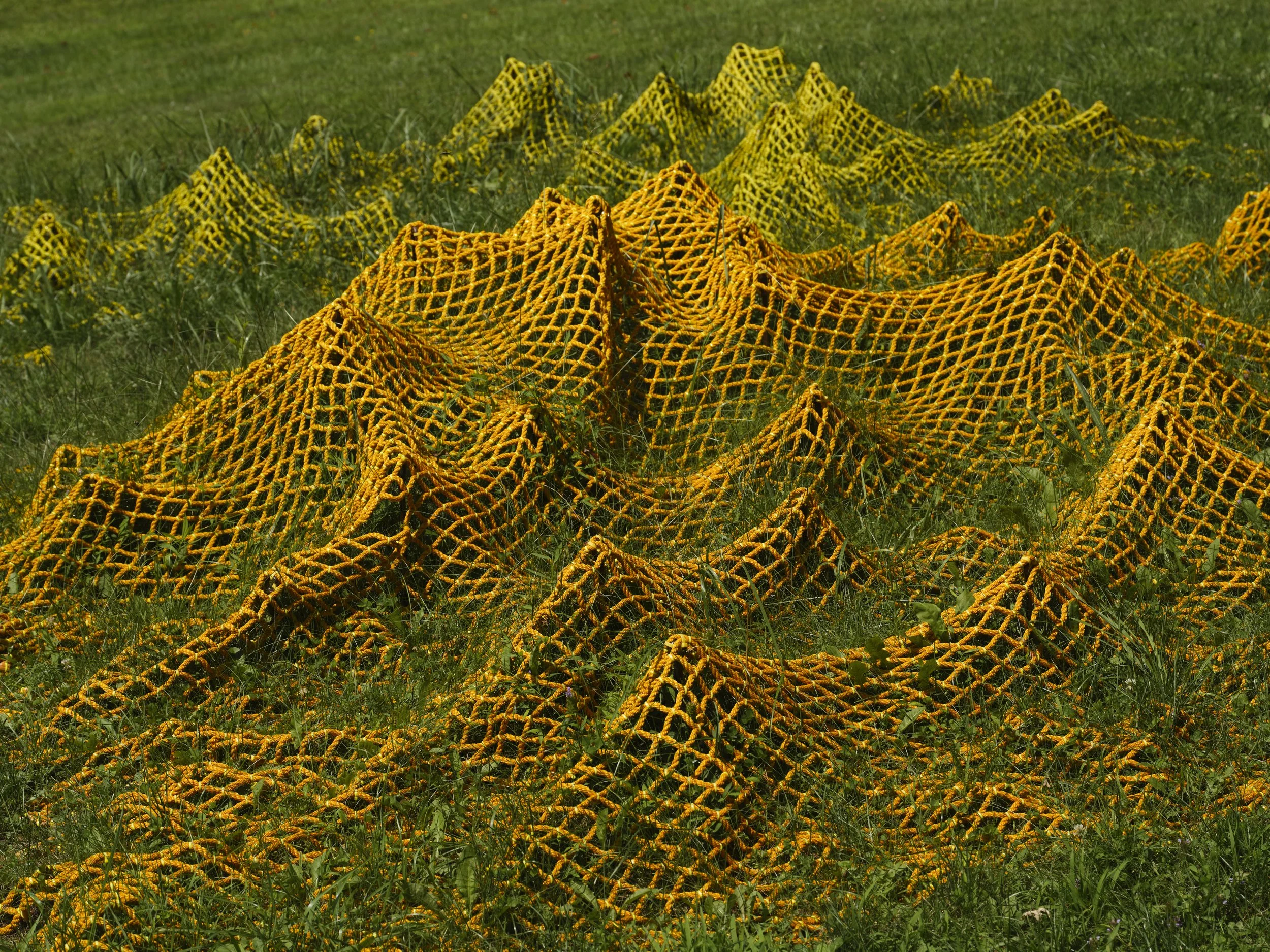 Yield