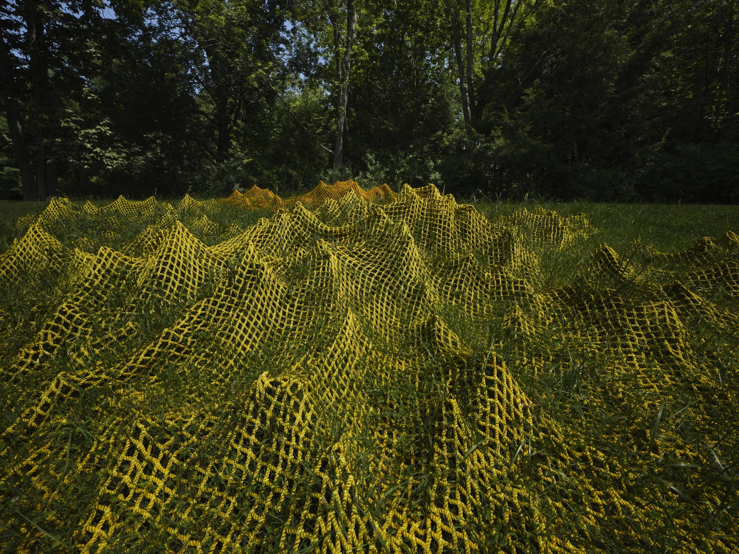 Yield