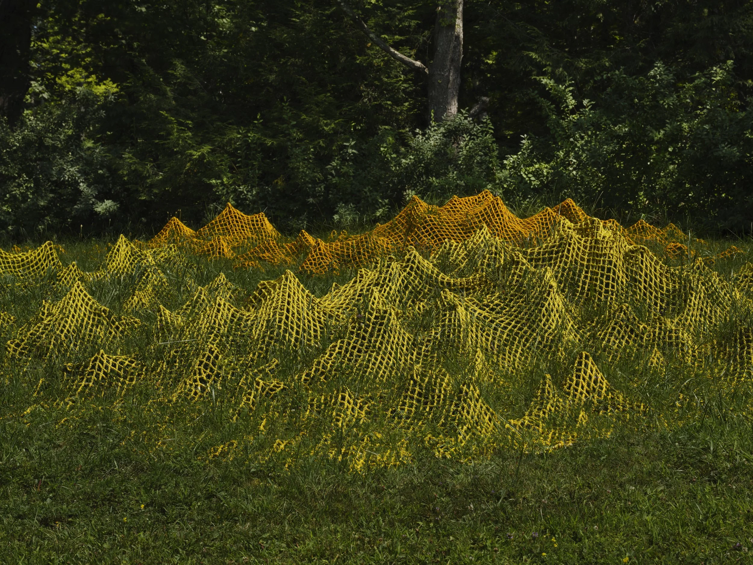 Yield