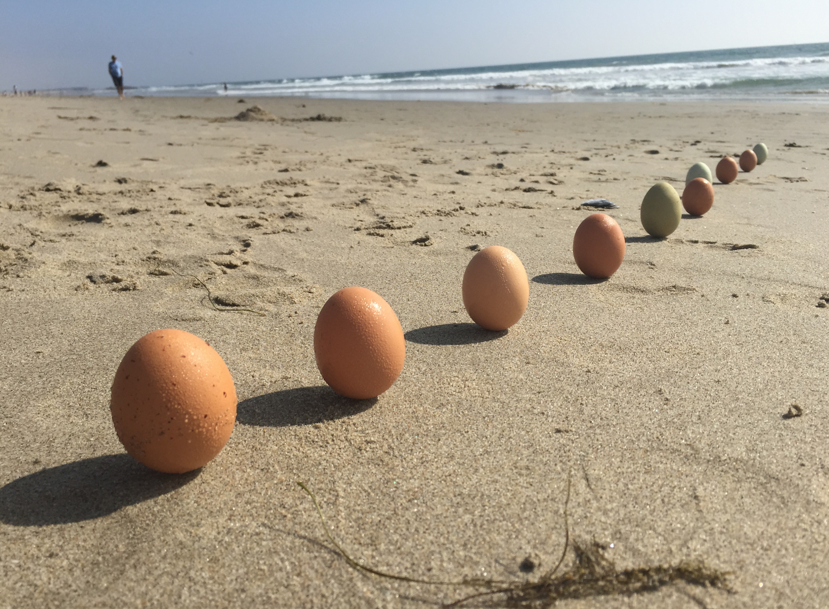 Egg Balancing