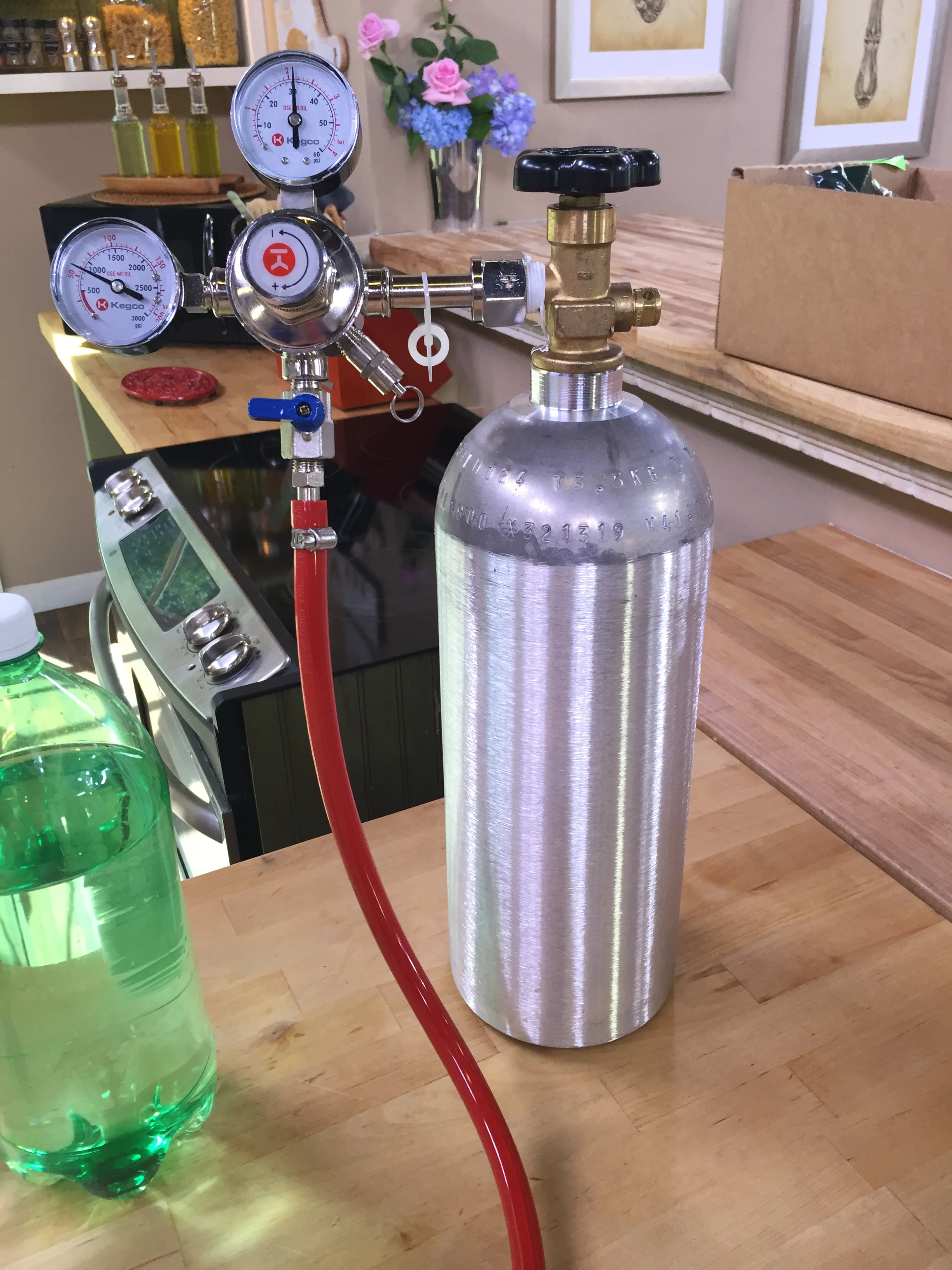 Home Carbonation Rig