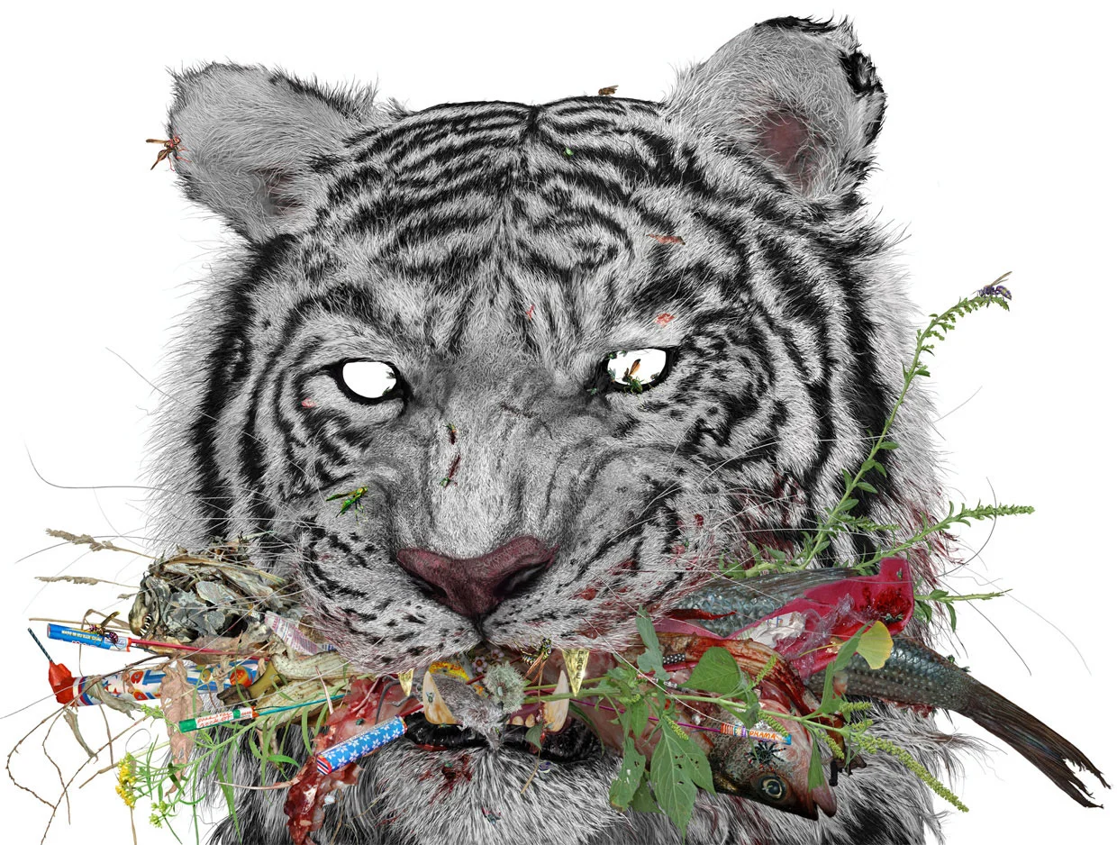 WHITE TIGER (2006) by aaron storck