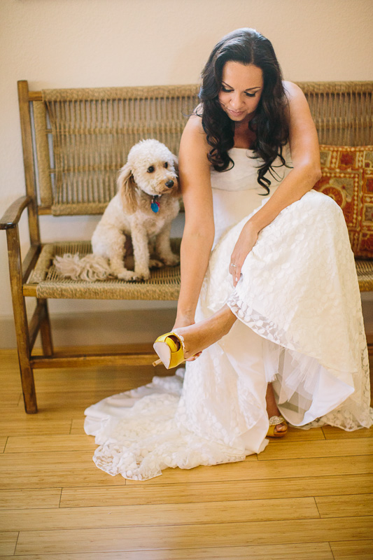 Best of Dogs {2013}