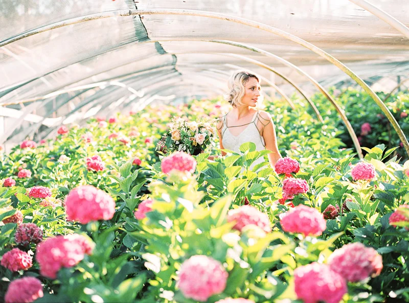 Jewel Toned Inspiration Shoot // Sonoma, CA