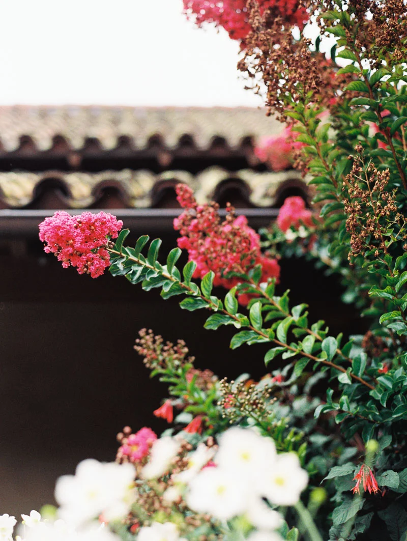 Carmel film wedding photographer-20.jpg