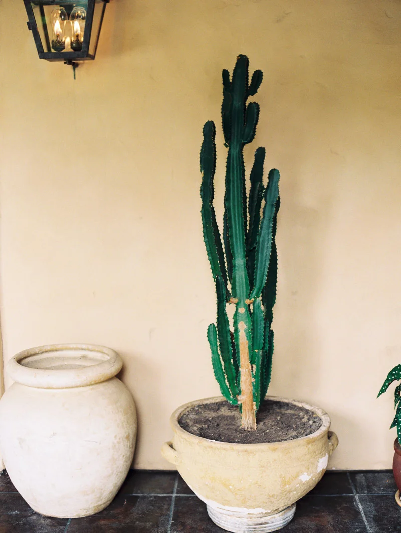 Lauren & Patrick married // Carmel, CA