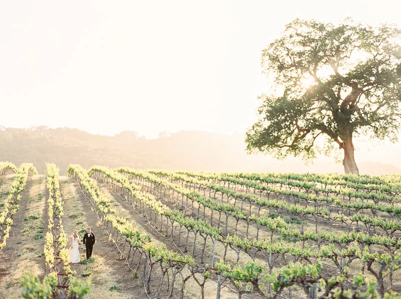 San Luis Obispo Wedding: Kourtnie & Nathan's HammerSky Vineyards Wedding // Paso Robles, CA 