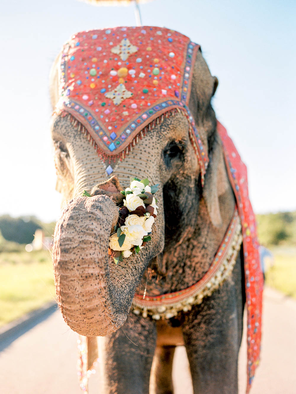 Danielle Poff Photography
http://www.daniellepoff.com
