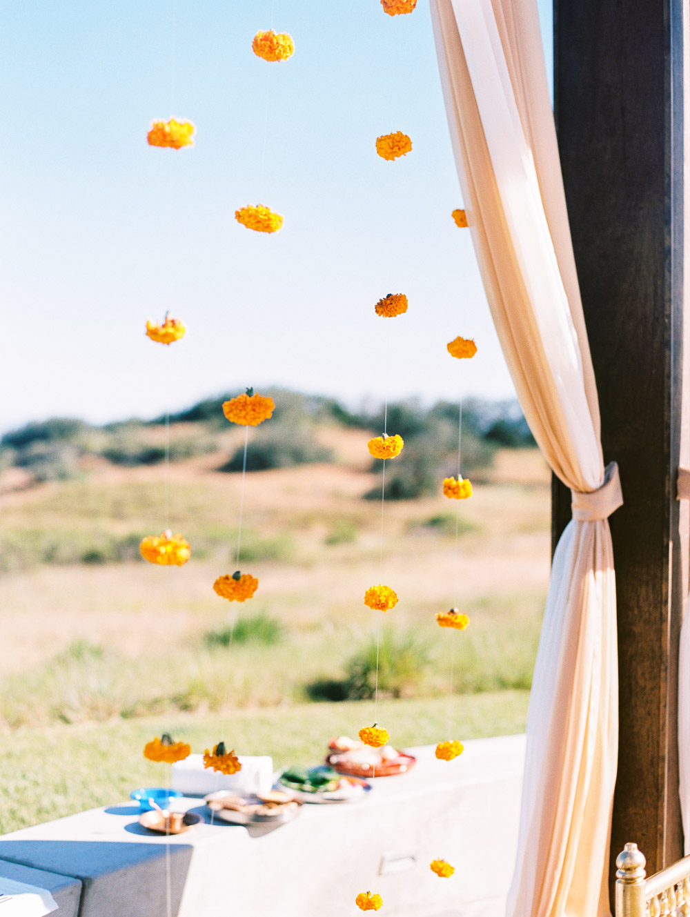 Danielle Poff Photography
http://www.daniellepoff.com