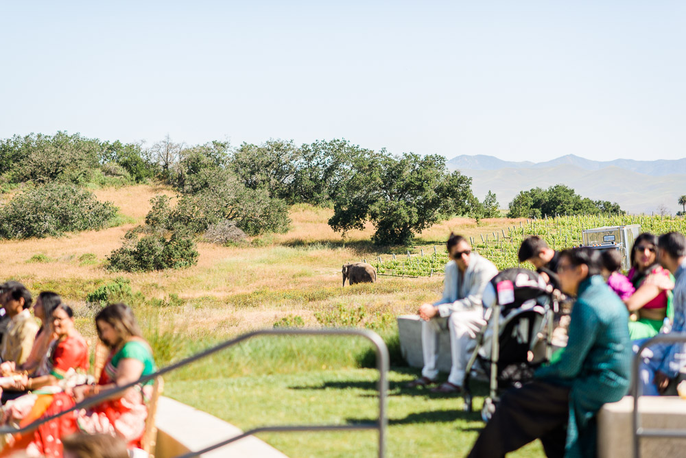 Danielle Poff Photography
http://www.daniellepoff.com