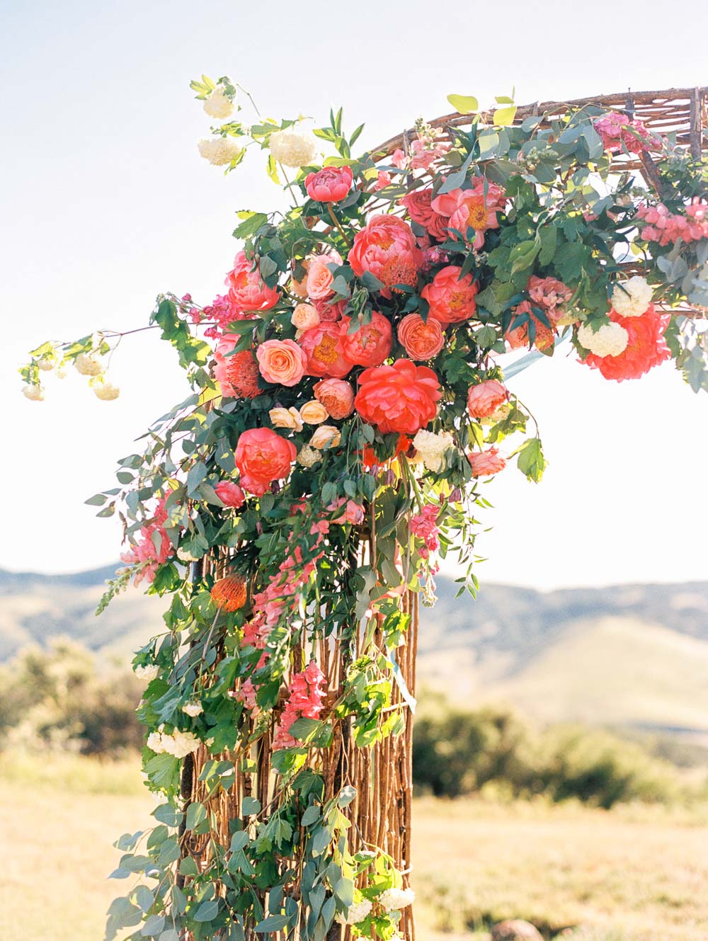 Danielle Poff Photography
http://www.daniellepoff.com