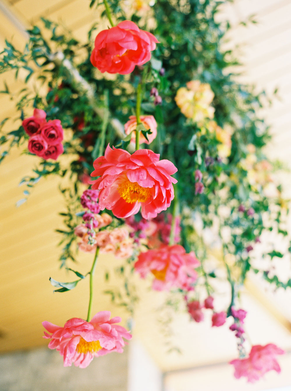 Danielle Poff Photography
http://www.daniellepoff.com