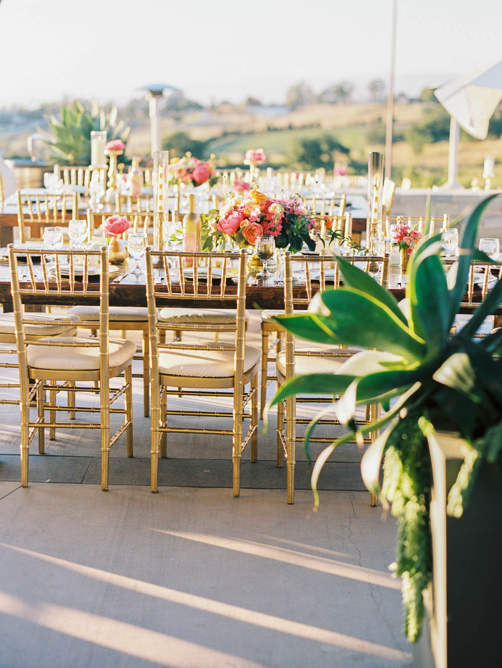 Danielle Poff Photography
http://www.daniellepoff.com