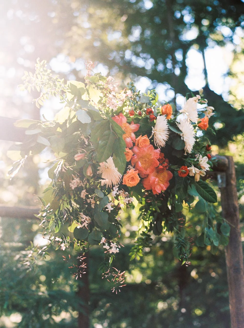Danielle Poff Photography
http://www.daniellepoff.com