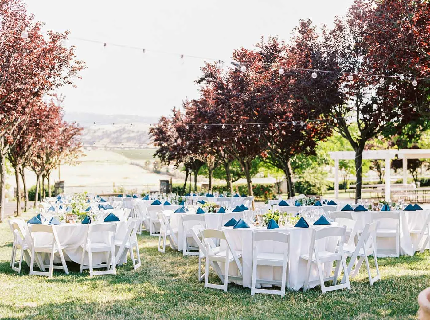 Danielle Poff Photography
http://www.daniellepoff.com