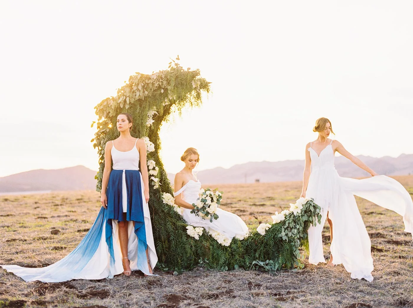Lindee Daniel's Cosmo Collection 