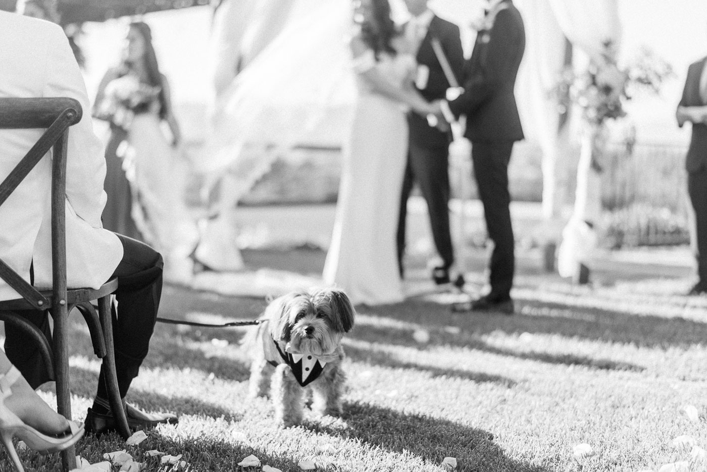 Danielle Poff Photography
http://www.daniellepoff.com