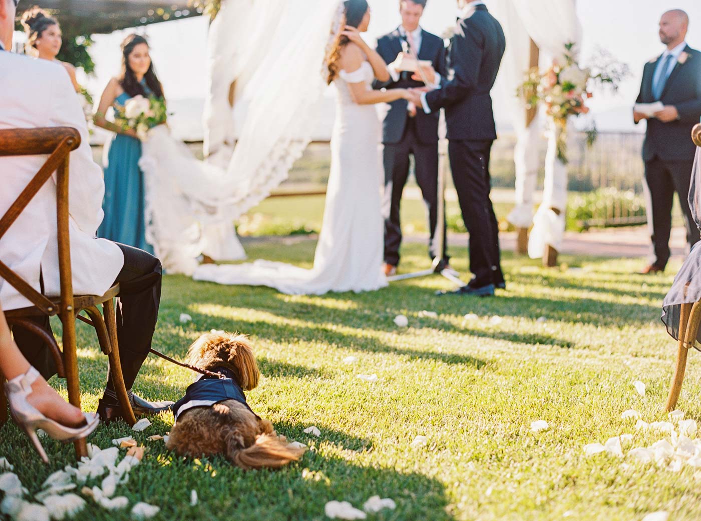 Danielle Poff Photography
http://www.daniellepoff.com