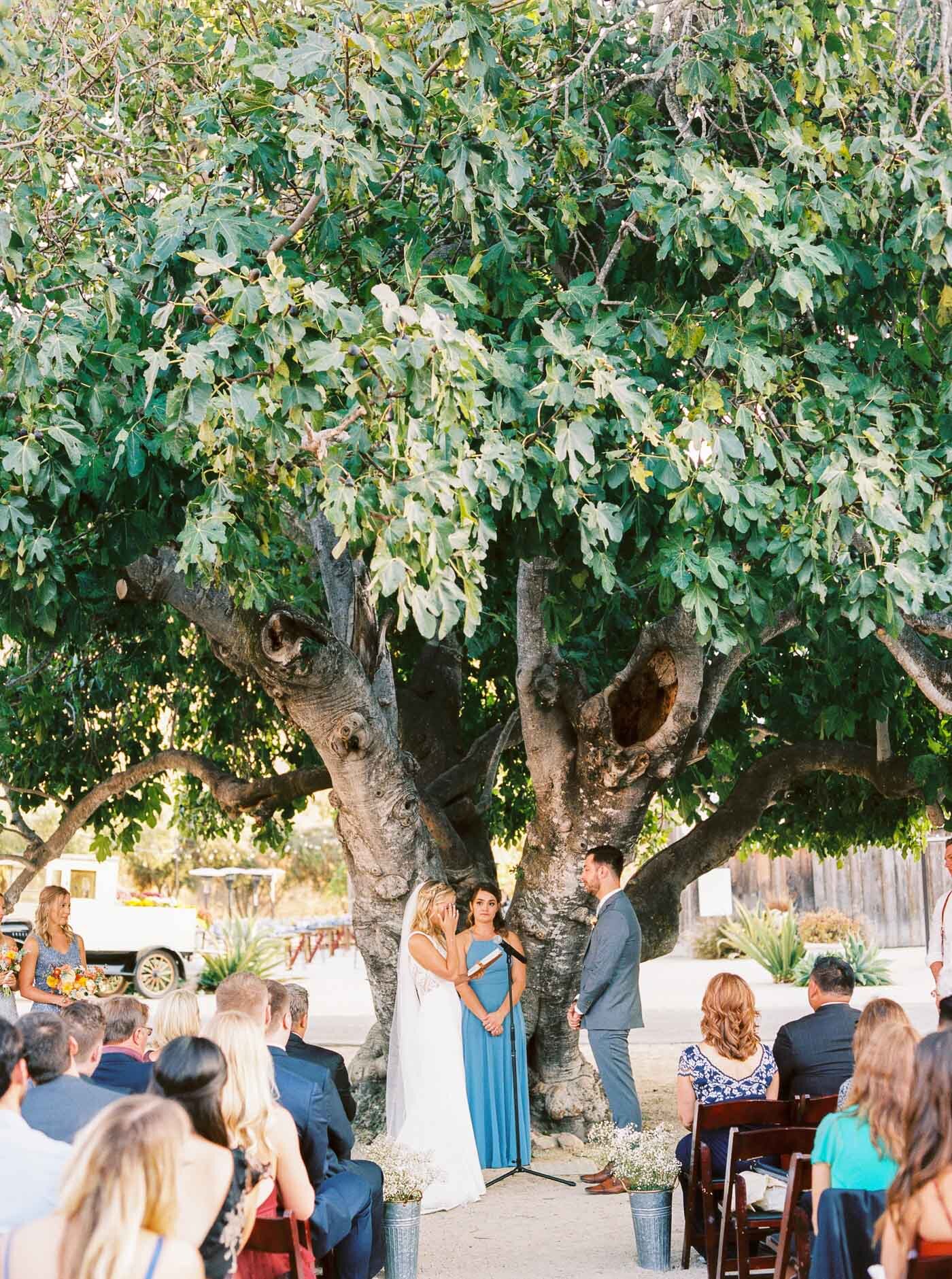 Higuera Ranch wedding-44.jpg