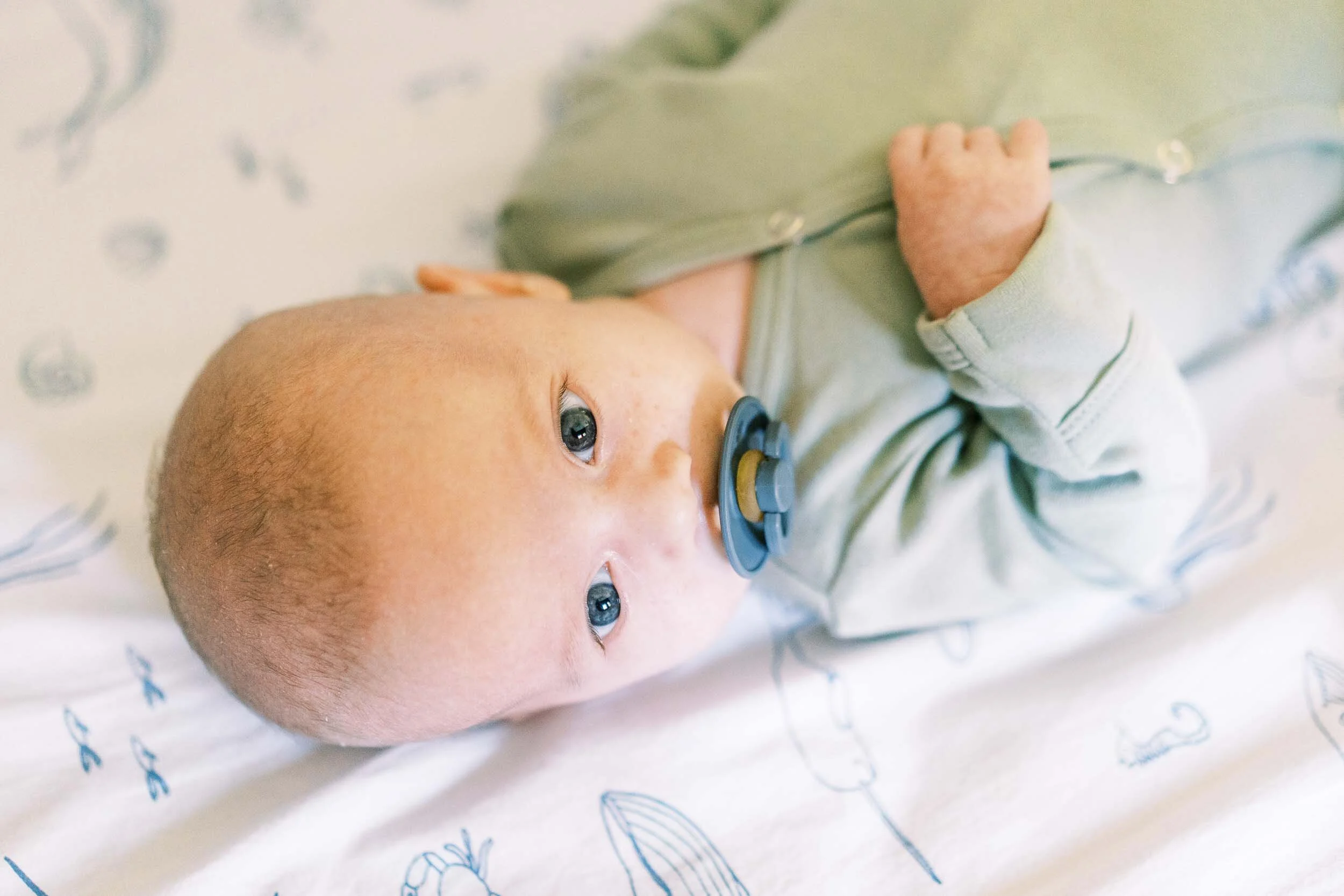 Bay Area newborn photographer-1.jpg