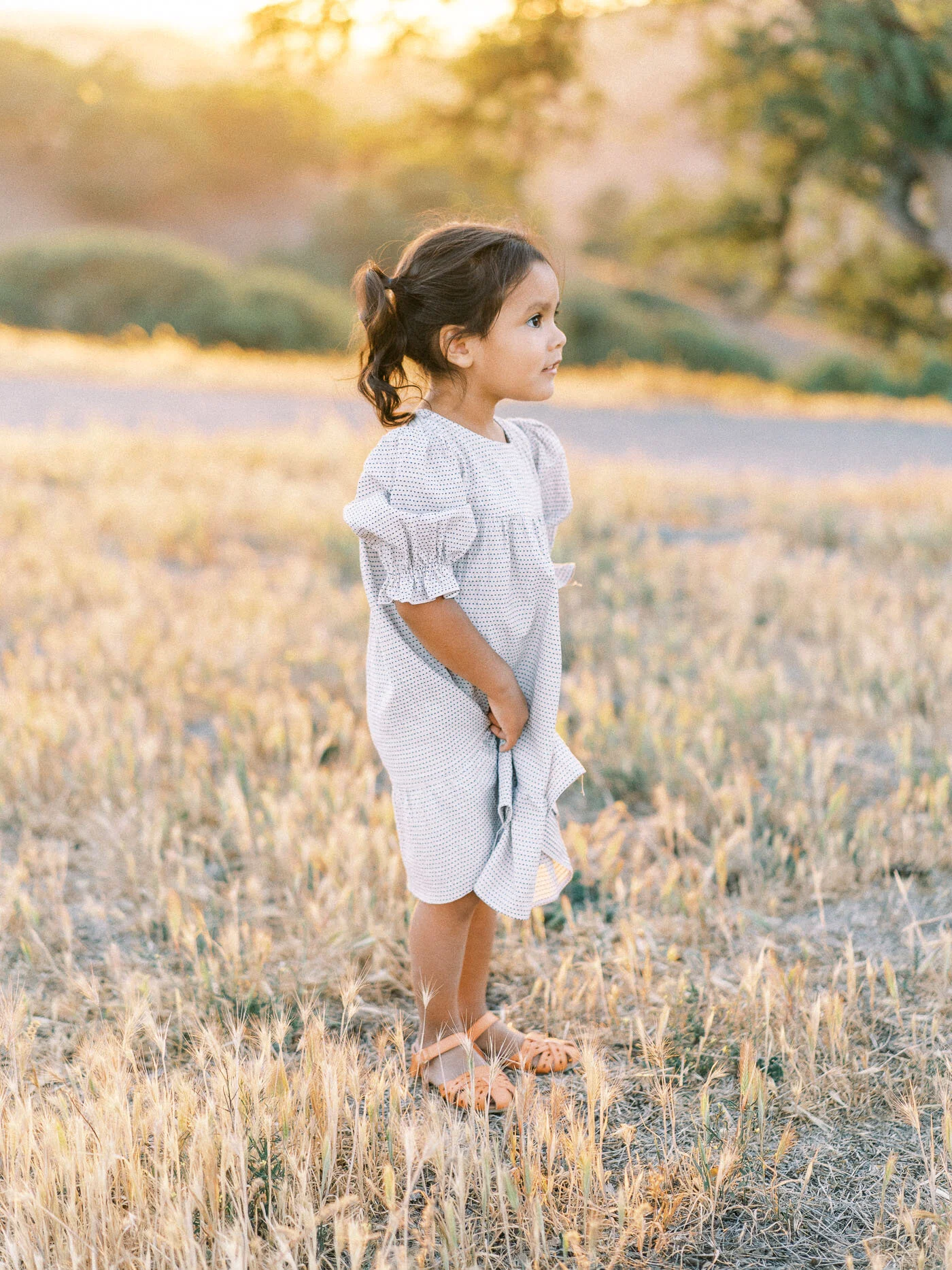 Bay Area family photographer-12.jpg