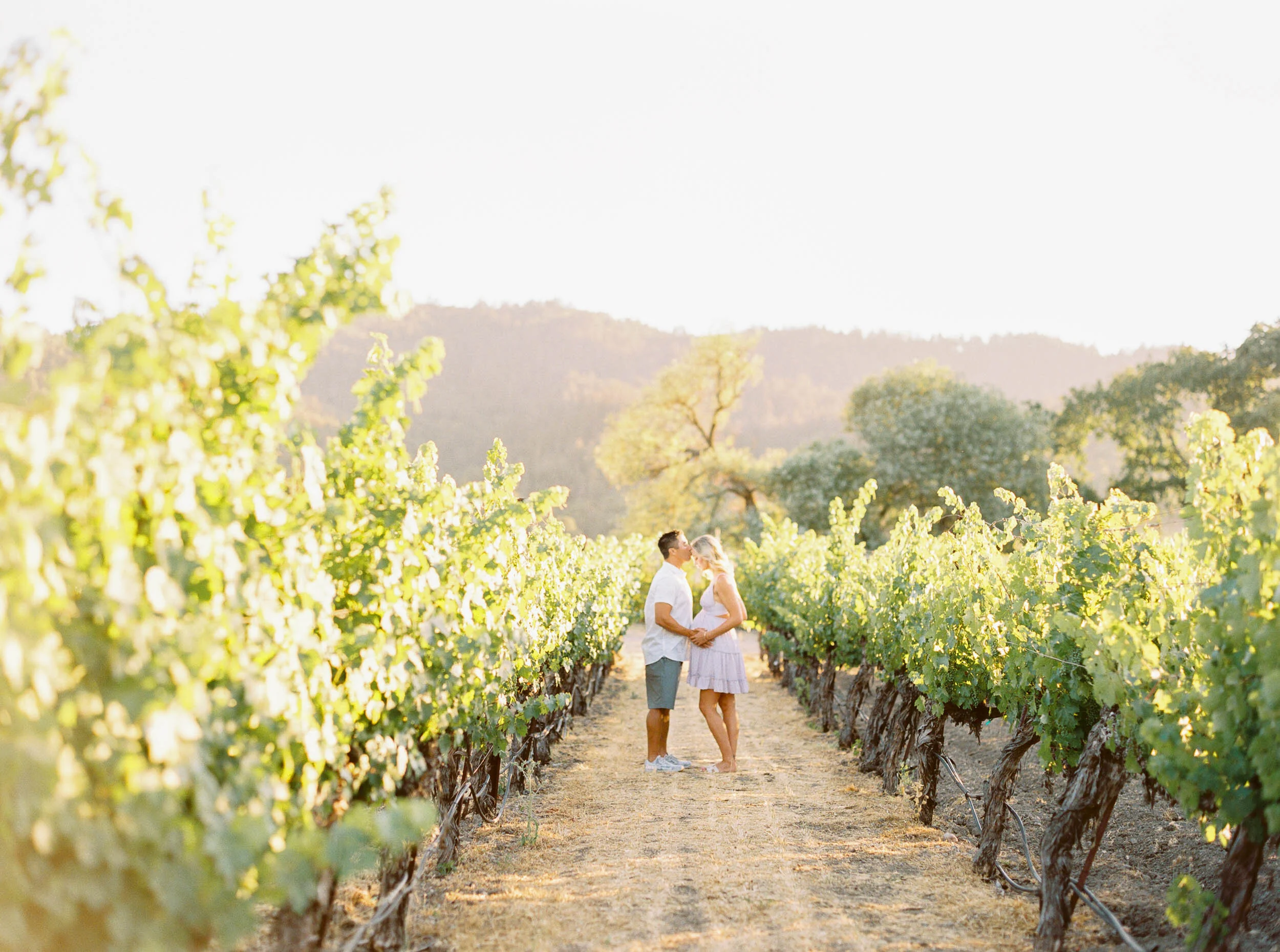 napa family photographer-2.jpg