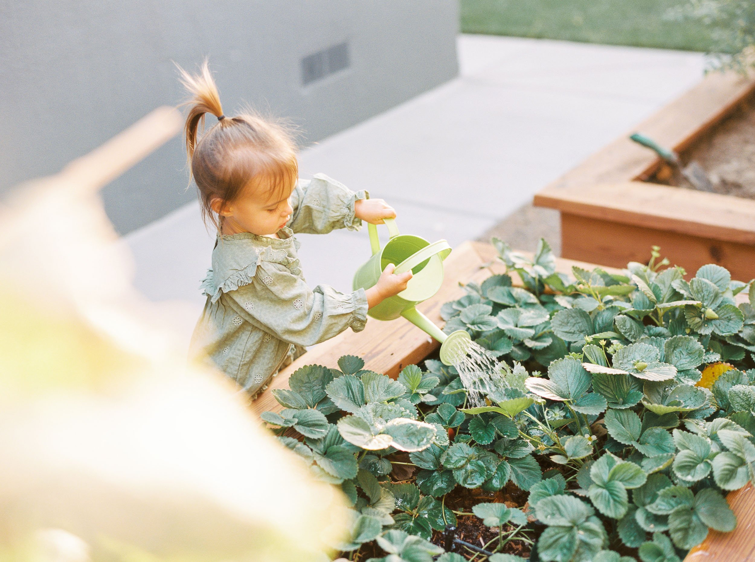 Livermore family photographer-12.jpg