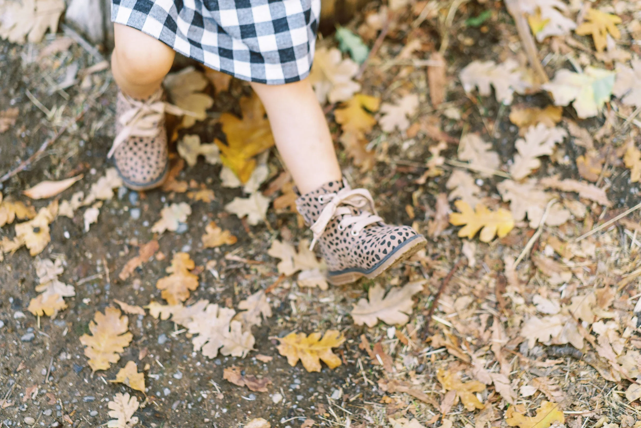 Pleasanton Family Photographer-3.jpg
