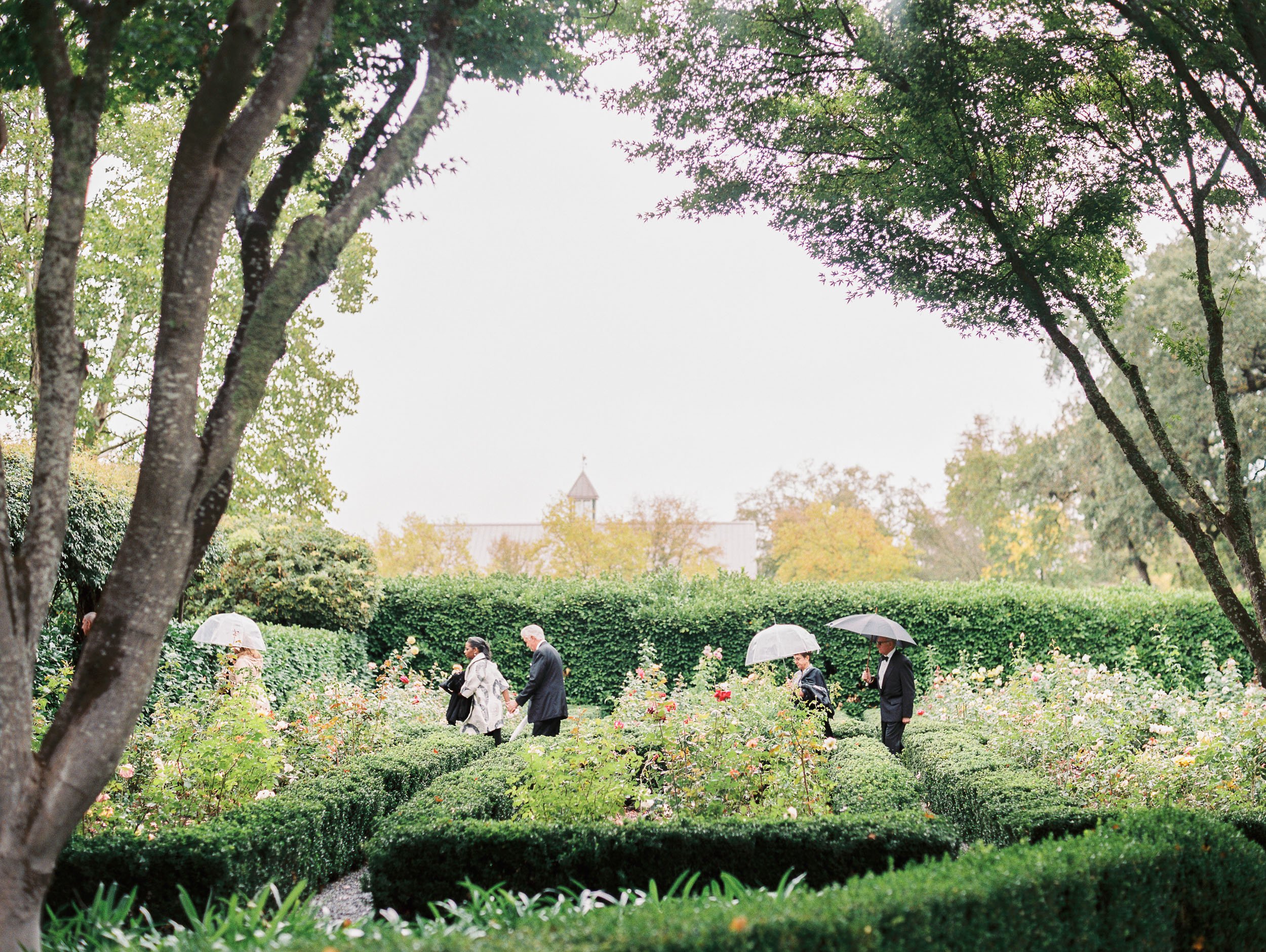 beaulieu garden wedding-23.jpg
