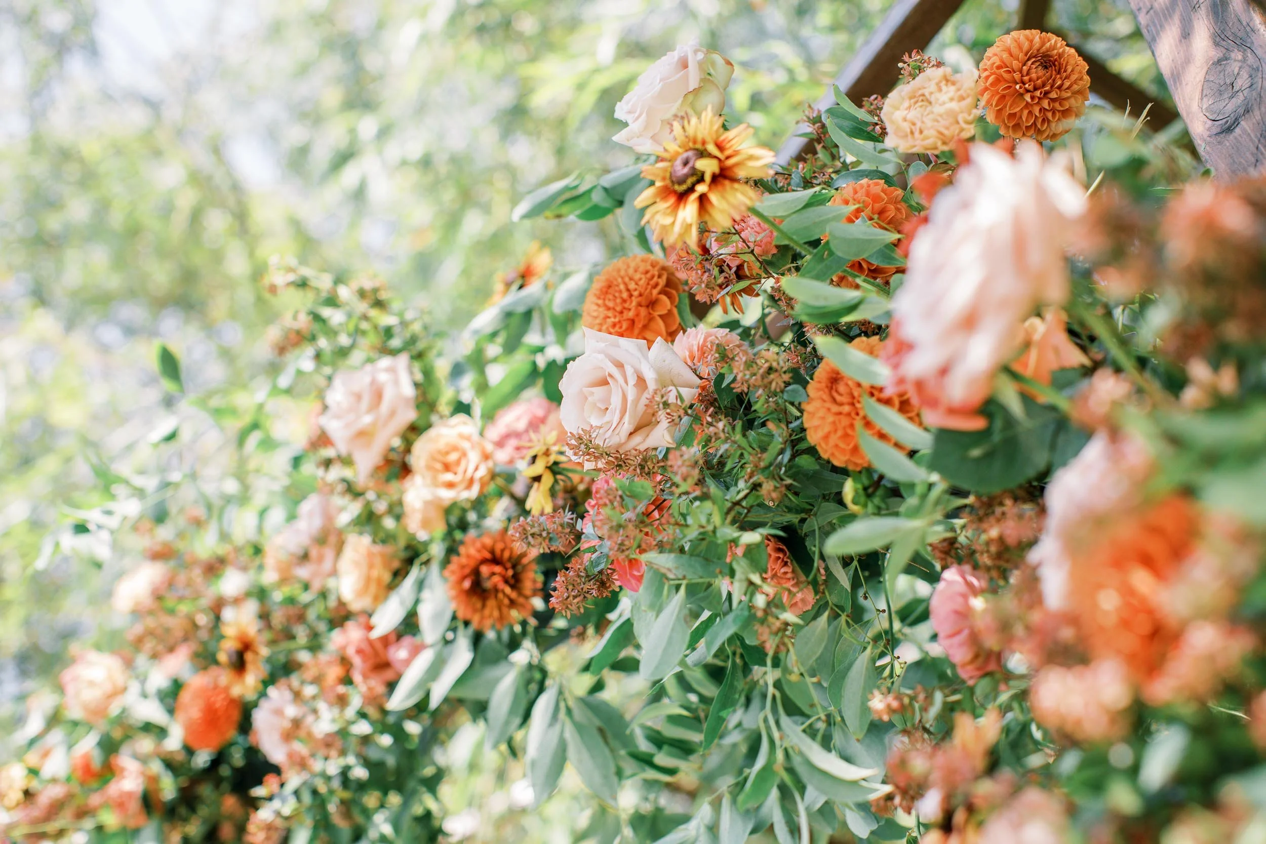 959A3641.jpg