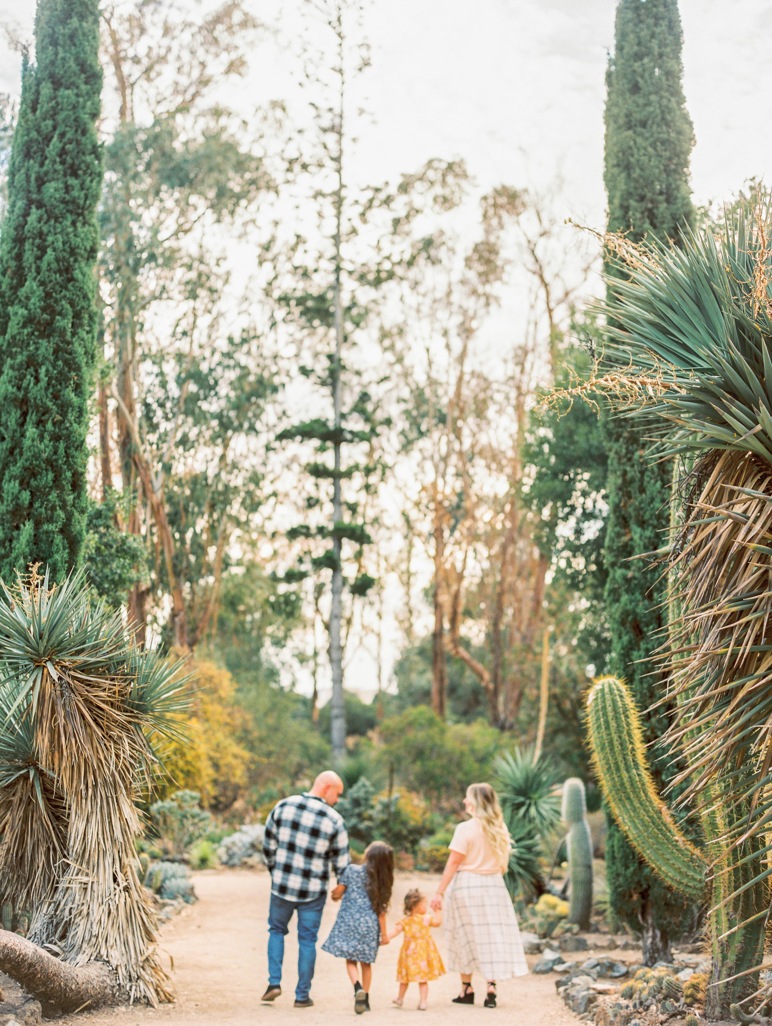 Arizona Cactus Garden family session // 