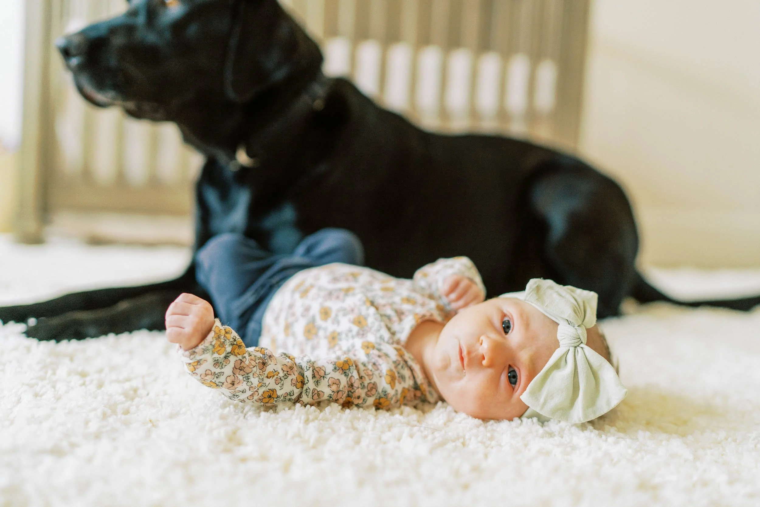 Bay Area family photographer-5.jpg